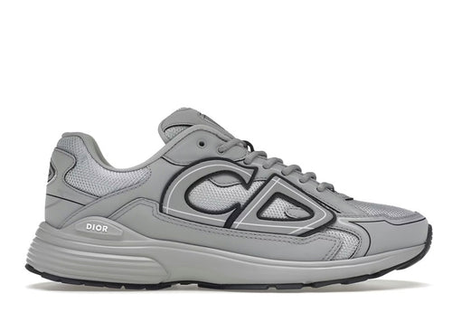 Dior B30 Gray