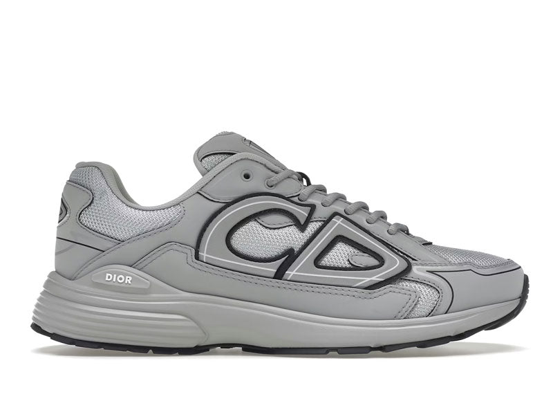 Dior B30 Gray